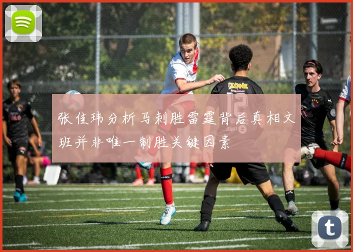 张佳玮分析马刺胜雷霆背后真相文班并非唯一制胜关键因素