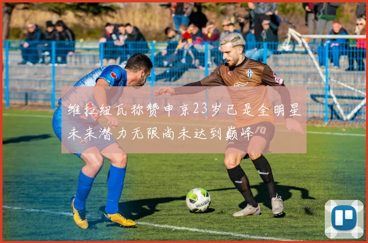 维拉纽瓦称赞申京23岁已是全明星未来潜力无限尚未达到巅峰