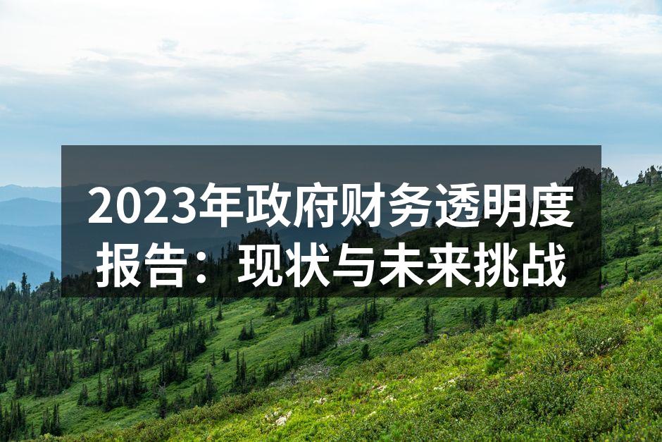 2023年政府财务透明度报告：现状与未来