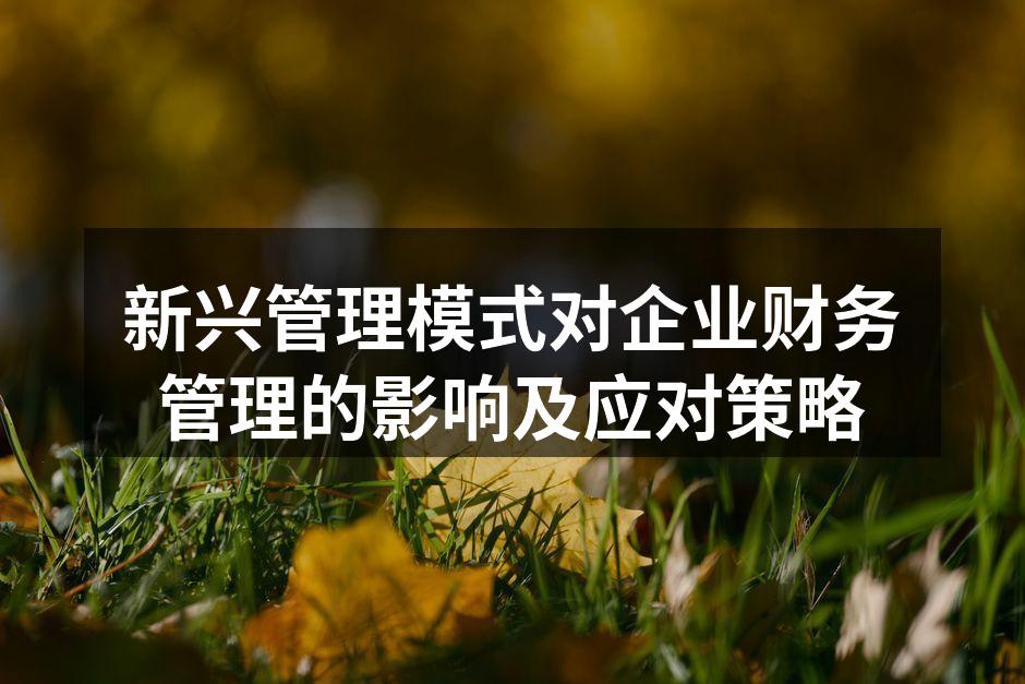 新兴管理模式对企业财务管理的影响及应对策