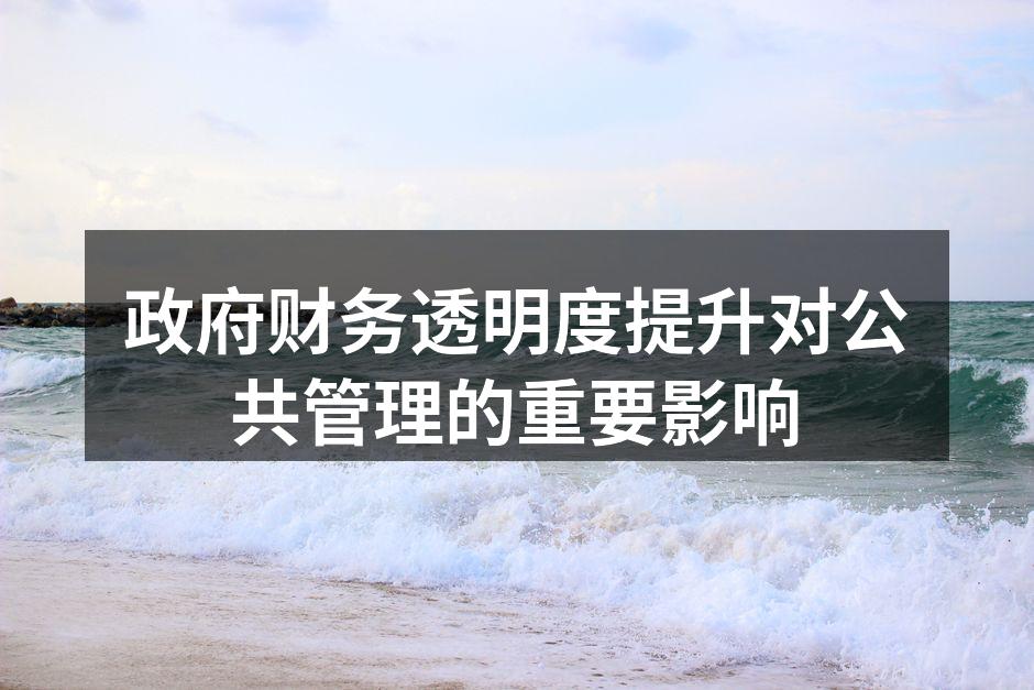 政府财务透明度提升对公共管理的重要影响